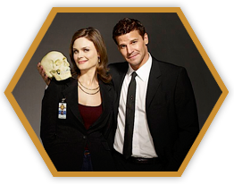 Bones